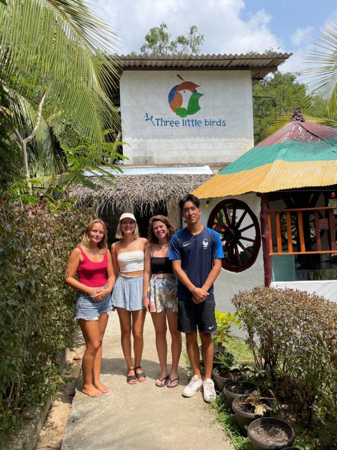 Three Little Birds Hotell Tangalle Exteriör bild