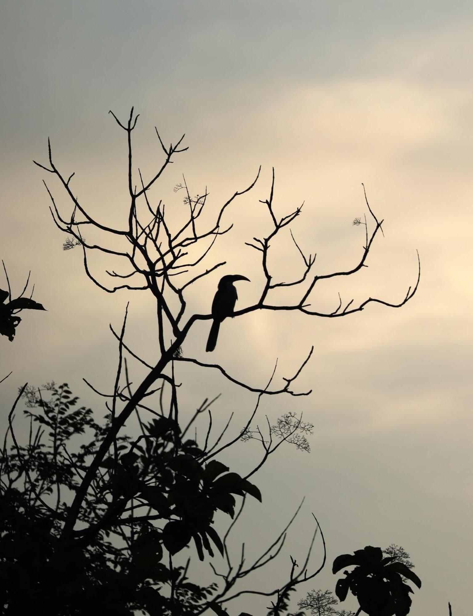Three Little Birds Hotell Tangalle Exteriör bild