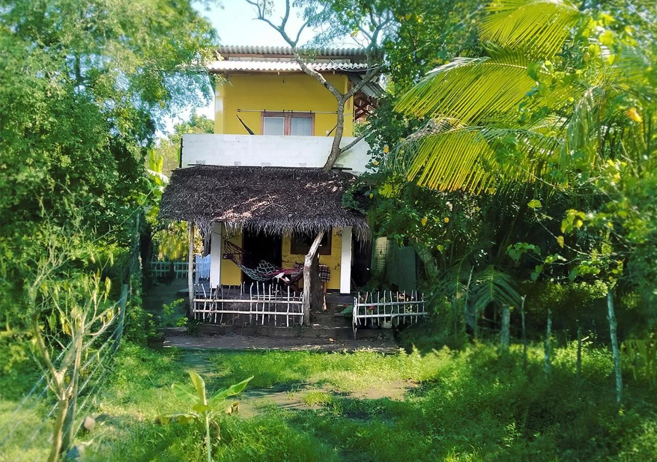 Three Little Birds Hotell Tangalle Exteriör bild