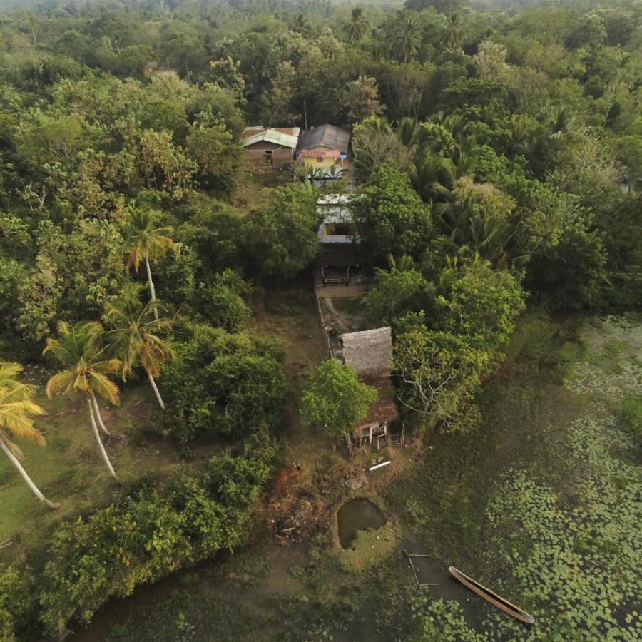 Three Little Birds Hotell Tangalle Exteriör bild